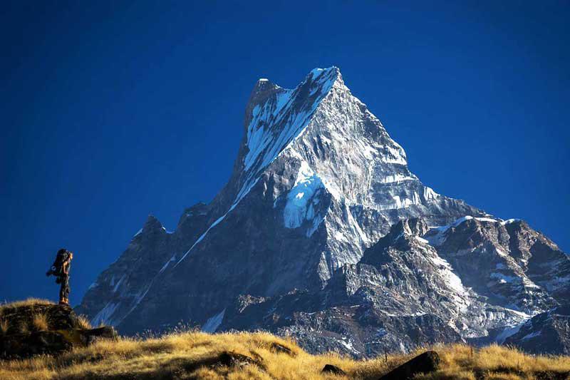 Mardi Himal Base Camp Trekking 8 Days